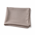 Warm Taupe | Silk Georgette
