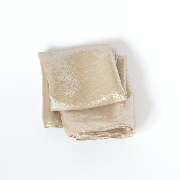 Nude Shimmer | Silk Chiffon
